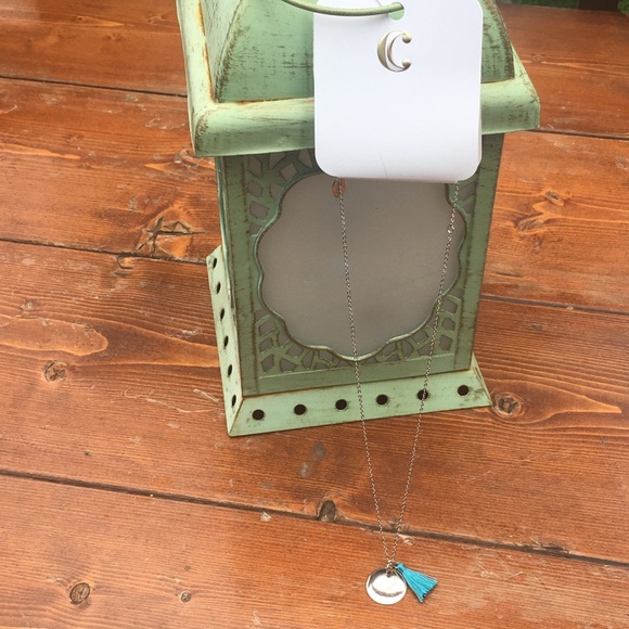 Charming Charlie Necklace - Tassel - Picture 13 of 15